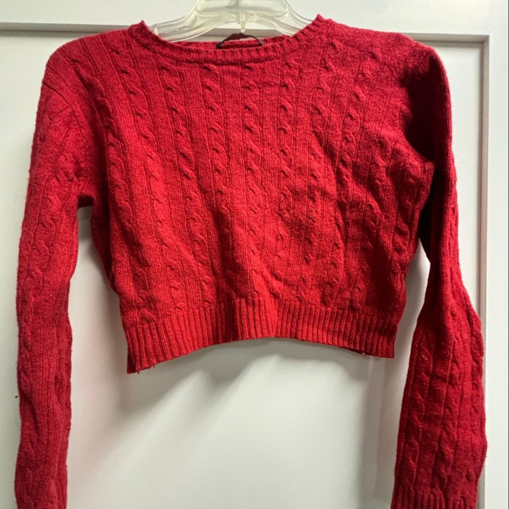 Bright Cherry Pop of Red Brandy Melville Knit Crop Top Cropped Sweater Jumper